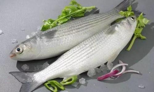 鲻鱼头网红吃瓜,揭秘娱乐圈幕后真相