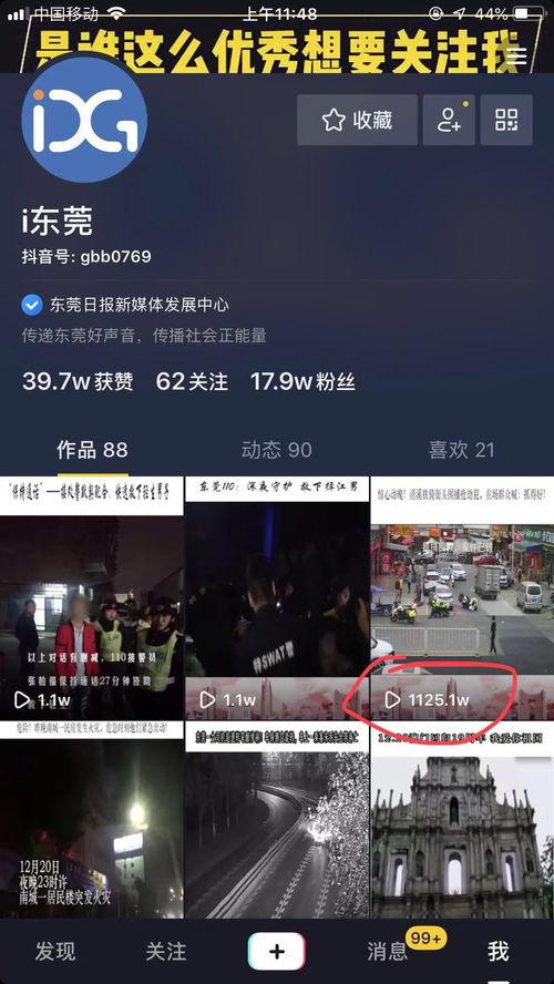 爆播视频在线观看
